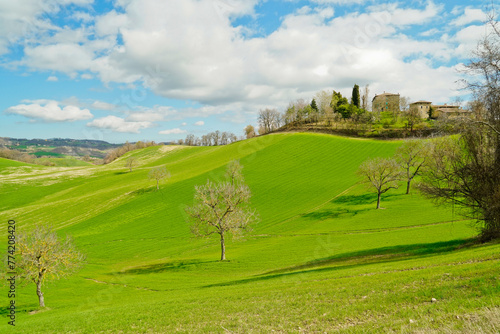 Fioritura primaverile delle colline del basso Appennino Reggiano. Reggio Emilia, Emilia Romagna, Italia