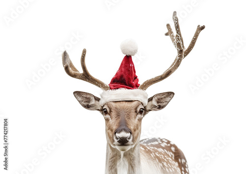 Christmas reindeer isolated on white. Reindeer in Santa's hat on a light transparent background. Christmas element.