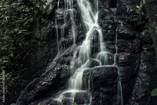 waterfall in the forest