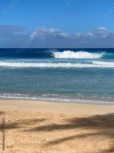 Colorful sea wave with sunny blue sky  and nice sandy beach in Hawaii  Outdoor nature landscape of big ocean waves and clear white sand beach in Hawaii  Haleiwa