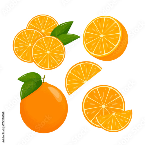 Orange fruit. Oranges that are segmented on a white background, juicy seasonal fruits, citrus. Vector illustration.