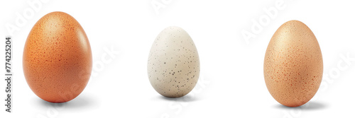 Single Chicken Egg isolated on a transparent background 
