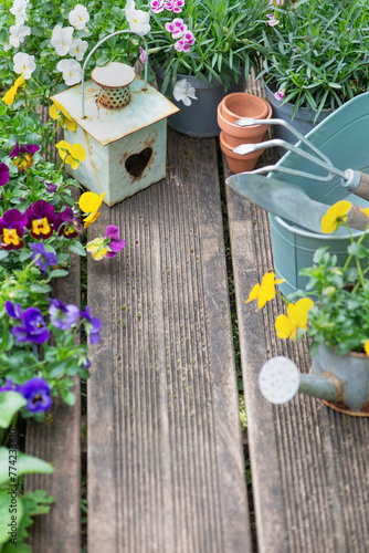 pretty colorful flowers blooming  and arranged on part of wooden terrace with...