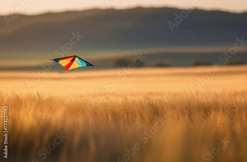 A kite flies in a wheat field