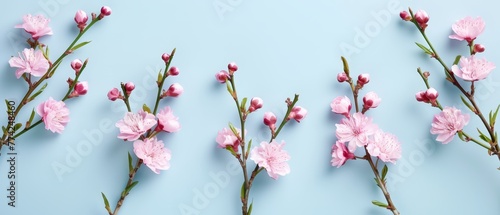  A cluster of pink blooms sits atop a light blue table Nearby, a blue surface continues the scene
