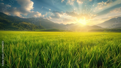Green fields at sunset.AI generated image