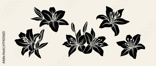Flat vector lily flowers collection
