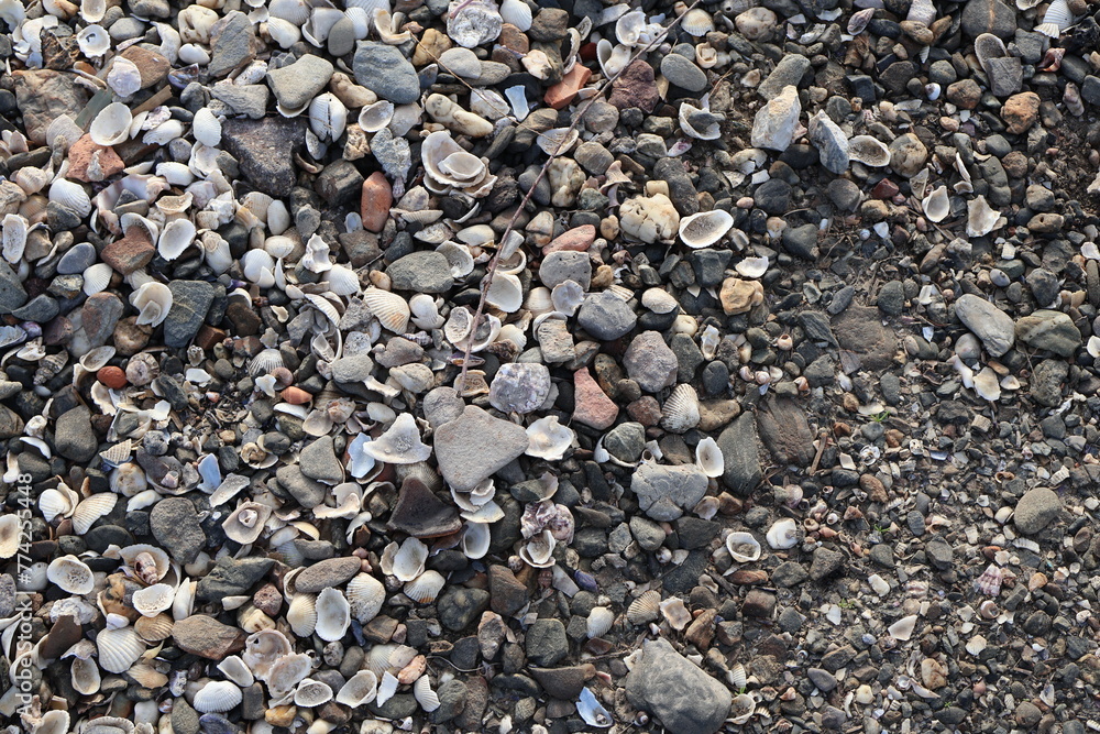 stones on the beach stones on the beach