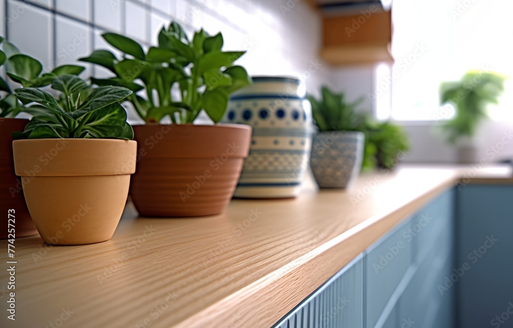 A kitchen counter with a variety of potted plants and a vase