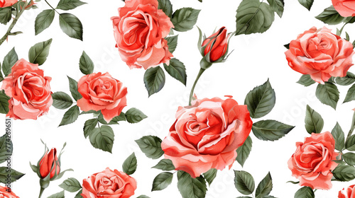 English roses seamless on transparent