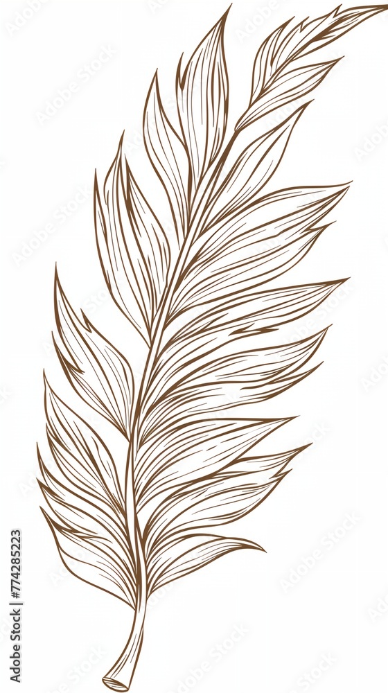 Obraz premium Palm leaf, thin stem. The leaf is dark green and has a slightly wavy texture.