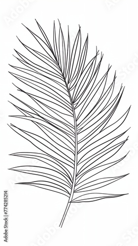 Palm leaf, thin stem. The leaf is dark green and has a slightly wavy texture. © inspiretta
