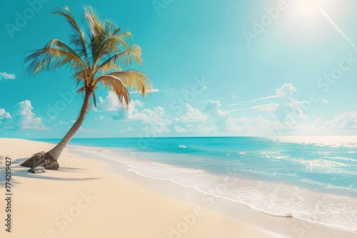 Tropical beach and palm trees, The Maldives, Indian Ocean © Mark Pollini