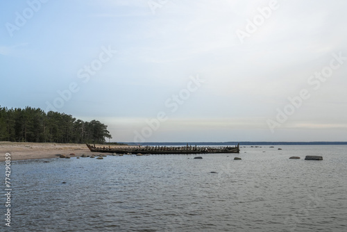 Loksa Estonia - March 31 2024  Shipwreck of the schooner Raketa  built in Rauma  Finland in the post war years for the Soviet Union as compensation for war damages. Skeleton of the ship on sandy beach