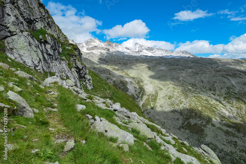 Alpine meadow with panoramic view of majestic snow covered mountain peak Ankogel and Hochalmspitze seen in High Tauern National Park, Carinthia, Austria. Idyllic hiking trail in summer Austrian Alps