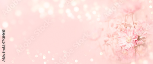 Pink flower on beautiful bokeh light background - Bouquet of summer flowers for mothers day, wedding, birthday and valentine	