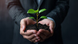 Business-suited hands carefully hold a small green plant sprouting from a clump of soil, symbolizing growth and sustainability.