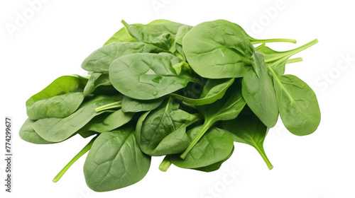A bountiful pile of fresh green spinach leaves arranged artfully on a pristine white background