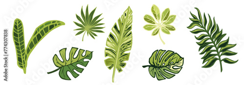 Set of green tropical leaves.Decorative botanical elements.Vector graphics.