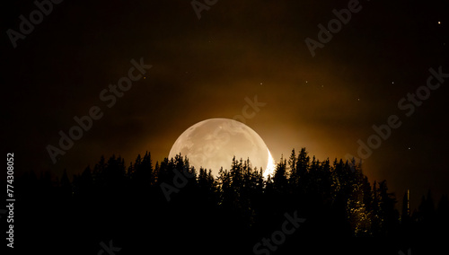 Mond geht hinter Baumgruppe unter.