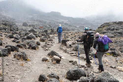 A hiking grouping walking along the Lemosho route on Mount Kilimanjaro.
