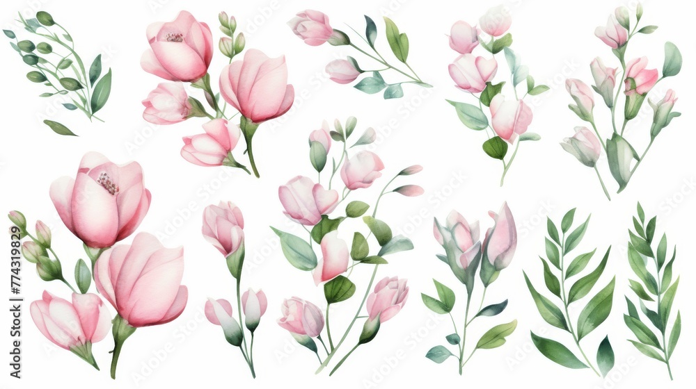 watercolor set of pink flowers, buds and green leaves on white background