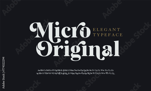Elegant awesome alphabet letters font and number. unique serif font. Classic Lettering Minimal Fashion Designs. Typography fonts regular uppercase and lowercase. vector illustration