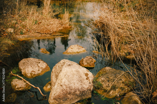 Wetland area with large rocks in the foreground.