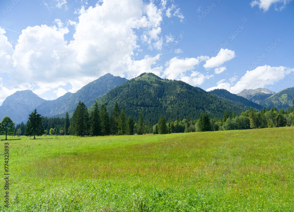Obraz premium Naturpark Karwendeltäler in Österreich. Grüne Wiesen und Almen des Falzthurntals, umgeben von links nach rechts von den Gipfeln Sonnjoch, Schäufelspitze, Bettlerkarspitze und Mondscheinspitze