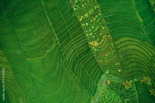 Drone photography of Farmland 