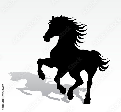 horse standing on two legs black silhouette animal outline with shadow vector illustration