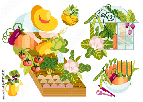 Person seedling, cultivating and planting veggies.