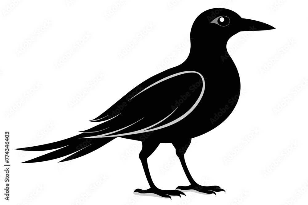 Fototapeta premium ilhouette color image,Echo bird ,vector illustration,white background