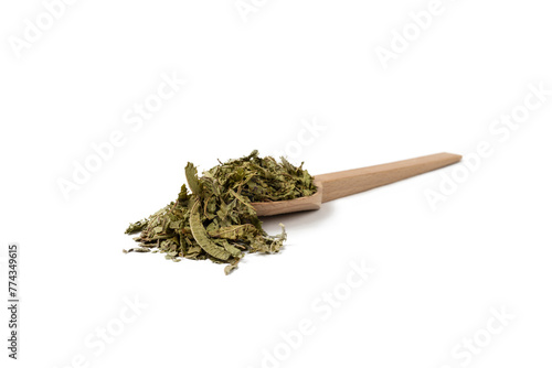 Dried leaves o Lemon verbena in latin Aloysia citrodora on wooden spoon isolated on white background. Medicinal herb. 