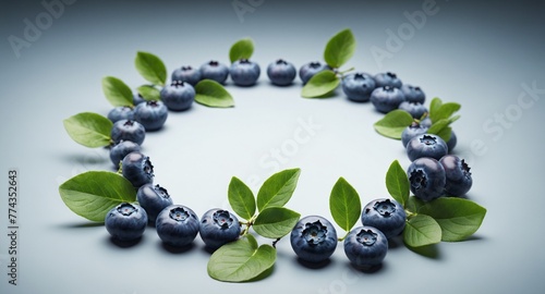 Fresh raw blueberry in frame form, copy space.