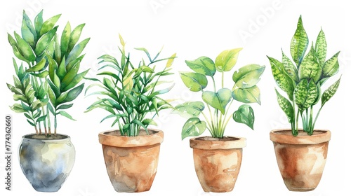 Watercolor Indoor Plants in Pots on White Background Generative AI