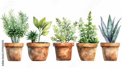 Watercolor Indoor Plants in Pots on White Background Generative AI