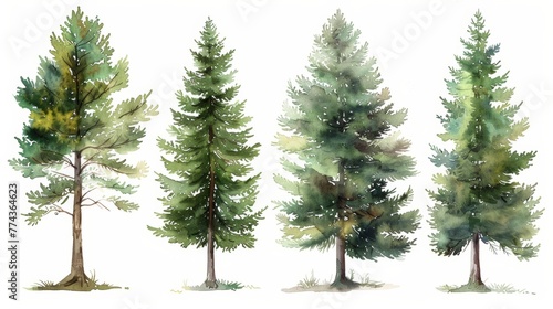 Pine Tree Watercolor Collection on White Background Generative AI