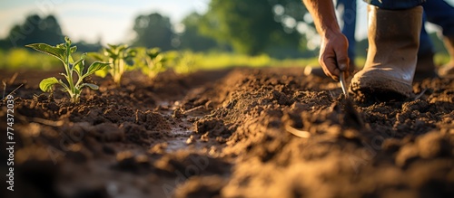 close up of expert farmer cultivating soil with hoe in plantation, low angle view