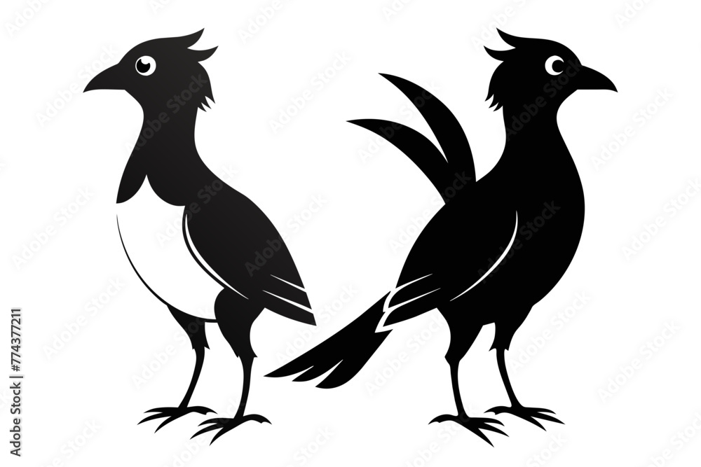 Obraz premium silhouette image,Bruno bird ,vector illustration,white background