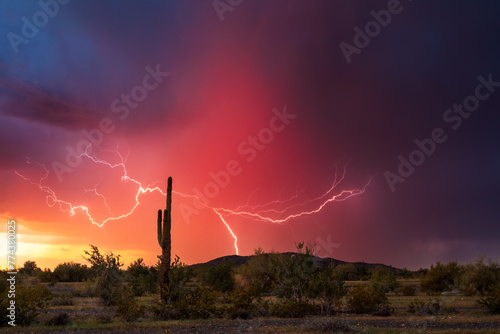 Arizona desert sunset with lightning and Saguaro cactus