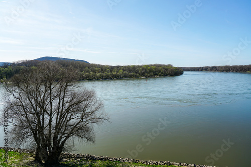 Canvas Print Danube river near Devin castle, scenic early springtime view with blue sky, Brat