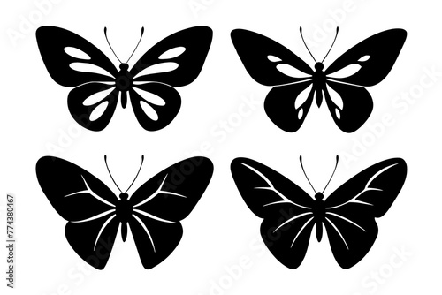 butterfly vector illustration