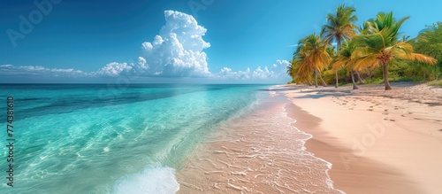 Beautiful tropical beach scene with palm trees, white sand and turquoise water against a bright blue sky