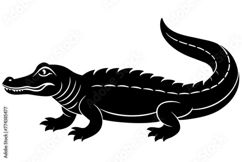  alligator vector illustration