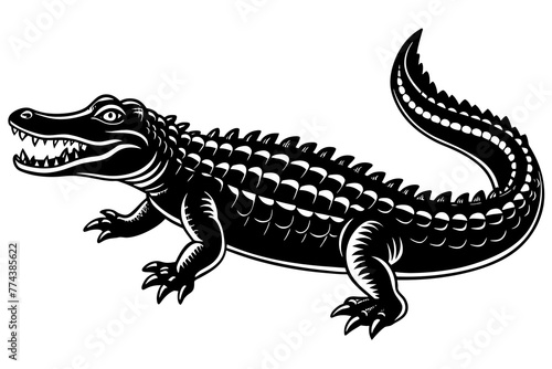  alligator vector illustration