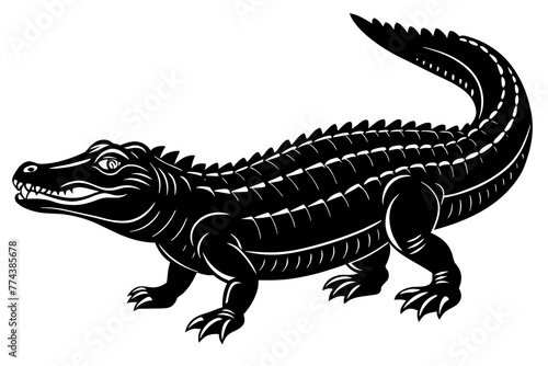  alligator vector illustration