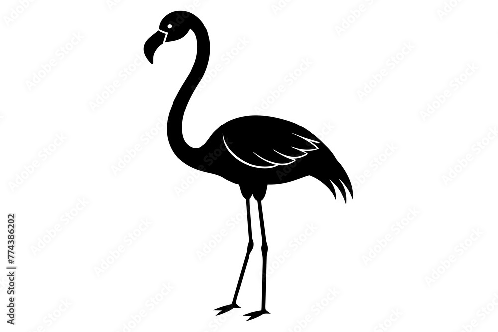 flamingo vector illustration