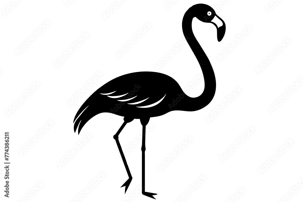 flamingo vector illustration