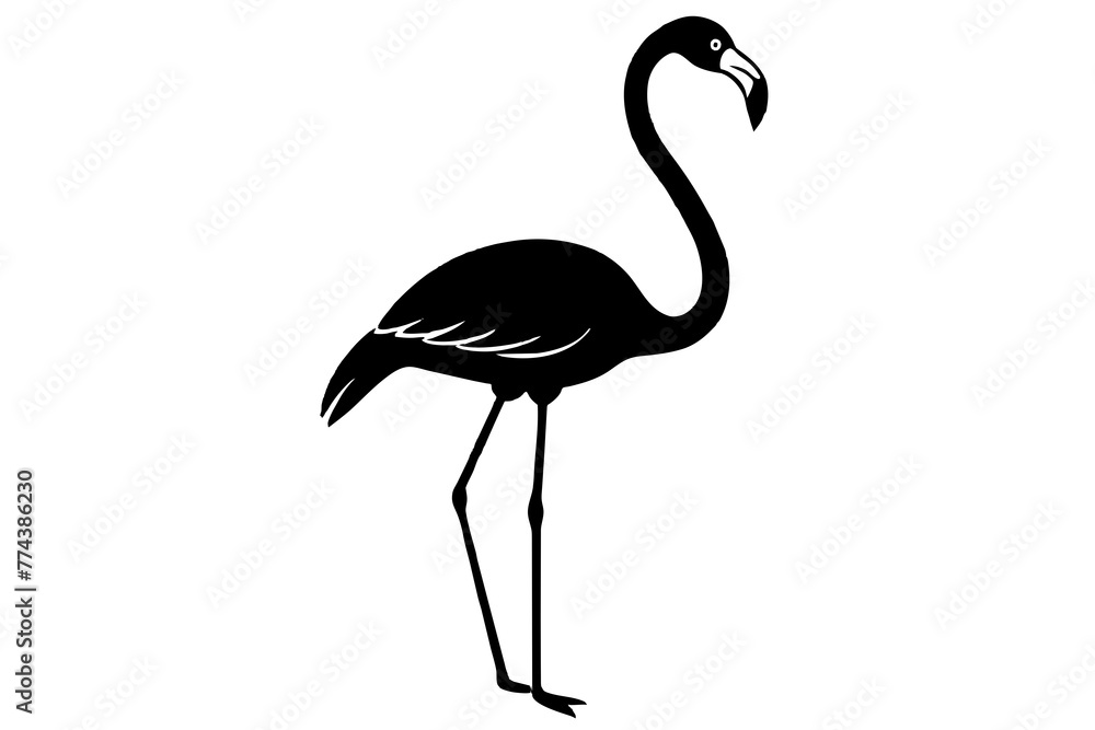 flamingo vector illustration flamingo vector illustration